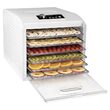 Deshidrator fructe si legume, 650 W, 6 tavi, 5 programe automate