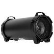 Boxa portabila cu bluetooth 10 W, Li-Ion, micro USB, FM radio