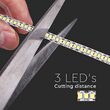 Banda led SMD2835, 240LED/m, lumina calda 3000K, IP20, 5m, 2000 lm/m