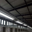 TUB LED T8 G13 PLASTIC 10W 60CM 6400K ALB RECE, CIP SAMSUNG