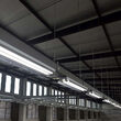 Tub led T8, 120 cm, 1850 lm, 6500K, soclu G13, putere 18W