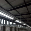 Tub led T8, 150 cm, 3000 lm, 6500K, soclu G13, putere 24W, IP20