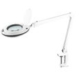 Lupa cu lampa led, 5x, diametru 5 inch, 10 W, 6500 K, prindere de masa