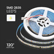 Banda led SMD2835, 10W/m, 24V, IP20, 6500K lumina rece, lungime 10 m
