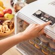 Deshidrator fructe si legume, 650 W, 6 tavi, 5 programe automate