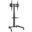 Suport TV mobil, capacitate 35 kg, Standard Vesa max 400x400, Inaltime reglabila, 32-55 inch