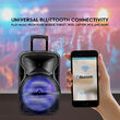 Boxa portabila, 35 W, lumini led, USB/SD/BT/radio FM, Microfon, 510x320x295 mm
