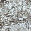 Instalatie luminoasa tip perdea cu 650 Led-uri, IP44. Alb Rece, lungime 10 m