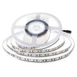 Banda led SMD2835 120LED/m, 24V, 6500K, IP20, 10m, 750 lm/m