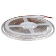 Banda led smd3528, 60 led/m, lumina Rece 6500K, IP20, lungime 5m