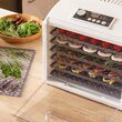 Deshidrator fructe si legume, 650 W, 6 tavi, 5 programe automate
