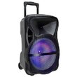 Boxa portabila, 50 W, lumini led, USB/SD/BT/radio FM, Microfon, 600x370x340 mm