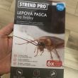 Set 6 capcane adezive Strend Pro, impotriva gandacilor, 22 x 14 cm