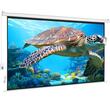 Ecran de proiectie motorizat 100 inch, 4K Ultra HD, 16:9, Material anti-lumina, Telecomanda