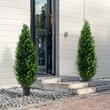 Set 2 plante artificiale Cedru, Inaltime 121.9 cm, Verde, PE si Otel carbon, protectie UV