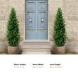 Set 2 plante artificiale Cedru, Inaltime 121.9 cm, Verde, PE si Otel carbon, protectie UV