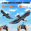 Avion cu telecomanda Eagle, 2.4 GHz, 2 x baterii 220 mAh, timp de operare 30 min, 290 x 410 x 90 mm, Giroscop stabilizator 6 axe, Raza 150 m