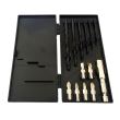 Bormasina cu 2 acumulatori Worcraft CD-14,4Li, 14.4V, 1.5Ah, inclus set burghie si biti