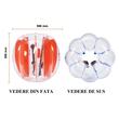 Set 2 mingi Sumo Zorb, Rosu/Albastru, pentru copii cu inaltimea de 1.1-1.6 m, manere si curele umar