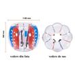 Set 2 mingi Sumo Zorb, Rosu/Albastru, pentru copii cu inaltimea de 1.2-1.7 m, manere si curele umar