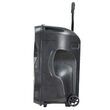 Boxa portabila, 50 W, lumini led, USB/SD/BT/radio FM, Microfon, 600x370x340 mm