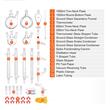 Kit de distilare uleiuri esentiale 32 piese, sticla borosilicate, Capacitate 250/500/1000 ml