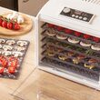 Deshidrator fructe si legume, 650 W, 6 tavi, 5 programe automate