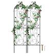 Set 2 suporturi pentru plante agatatoare, 38 x 152 cm, Otel