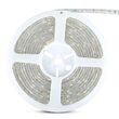 Banda led SMD5050 30LED/m, 6000K, IP65, 5m, 500 lm/m, 4.8W/m
