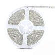 Banda led SMD5050, 30LED/m, 4000K, IP65, 5m, 500 lm/m, 4.8 W/m