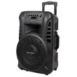 Boxa activa portabila, 40 W, 2 x Microfoane, Telecomanda, Troller, card SD, USB, Intrare pentru chitară