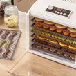 Deshidrator fructe si legume, 650 W, 6 tavi, 5 programe automate