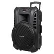 Boxa activa portabila, 60 W, 2 x Microfoane, Telecomanda, Troller, card SD, USB, Intrare pentru chitară
