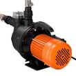 Pompa de suprafata, 1300 W, 4800 l/h, adancime aspiratie 8 m, Inaltime max 48 m, protectie termica