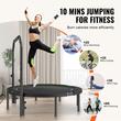 Trambulina fitness, Pliabila, max 205 kg, Inaltime reglabila 4 niveluri, cadru Otel, 40 arcuri, Diametru 1315 mm