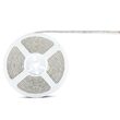 Banda led SMD5050, 24VDC, 60LED/m, 4000K, IP65, 5m, 830 lm/m