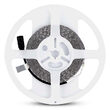 Banda led SMD3528, 120 LED/m, 6500K, IP20, lungime 5 m