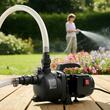 Pompa de suprafata, 800 W, 3300 l/h, adancime aspiratie 8 m, Inaltime max 44 m, protectie termica