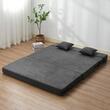 Canapea pentru doua persoana, 2 perne, max 200 kg, Extensibila, Husa detasabila, Dimensiuni extinse 2060 x 1545 x 150 mm
