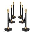 Set 6 stalpi delimitare, 4 x Franghie neagra 1.5 m, Inox, Auriu/Negru, Inaltime 90 cm