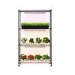 Raft pentru plante cu lampa de crestere, 4 x Niveluri, Inaltime 150 cm, 3 x led 90 W, 3000K/3800K/3200K, 4 x Roti