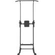 Aparat pentru tractiuni cu spatar, Vivatechnix max 200 kg, Otel, Inaltime reglabila pe 10 niveluri 1900-2300 mm