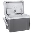 Lada frigorifica profesionala Troller 35 L, sistem Petier fără freon, Alimentare 12 V DC, 220 V AC, 39.8x52.2x35 cm