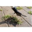 Dispozitiv telescopic pentru scos buruieni Strend Pro Premium, 1350 mm, coada aluminiu
