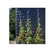 Arac, suport pentru plante, Strend Pro spiralat, Zinc, lungime 2000, diametru 7 mm