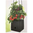 Ghiveci pentru rosii Strend Pro Herrison FP8018, 25x25x150 cm, maro