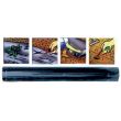 Folie antiburuieni Strend Pro Garden C3201, densitate 20g/m2 , dimensiune 1.2x10m 