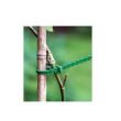 Set coliere pentru legat plante, Strend Pro HG6171-C, lungime 220 mm, 80 buc/set