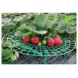 Set 5 suporturi pentru capsuni si flori, Strend Pro Garden, diametru 30 cm, Verde