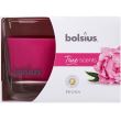 Lumanare parfumata Bolsius Jar True Scents 50/80 mm, bujor